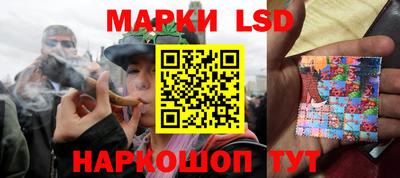 сатива Новозыбков