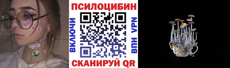купить закладку mega ТОР Псилоцибиновые грибы Cubensis Валуйки