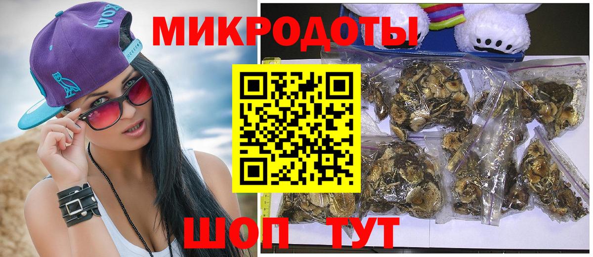 Псилоцибиновые грибы Psilocybe Валуйки