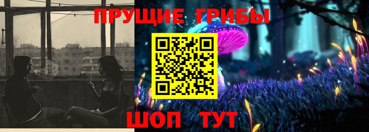 Псилоцибиновые грибы Psilocybe  Вход с VPN  Валуйки  Галлюциногенные грибы Psilocybine cubensis 